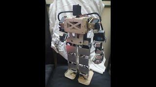 Humanoid Robot Dance