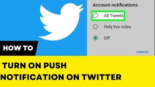 How to Turn On Push Notification on Twitter