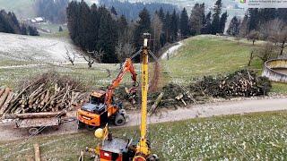 Holzernte mit Seilbahn und Baggerprozessor 🪓