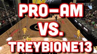 NEVER COUNT US OUT! Pro-am Vs TreybioneGaming! | NBA 2K19