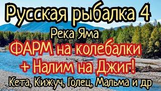 РР4. река Яма. ФАРМ на колебалки! Налим на Джиг! Где ловить Кета, Мальма, Кижуч, Голец Арктический.