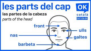 Les parts del cap | Las partes de la cabeza | OK CATALÀ | CAT-ES-EN