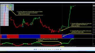 Forex Systems - Forex Profit Supreme System