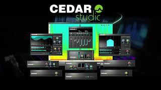 Introducing CEDAR Studio 9 for Mac