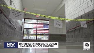 Bat infestation shuts down Juab High School