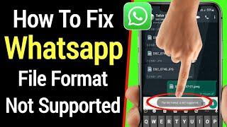Cara Memperbaiki Format File Whatsapp Tidak Didukung | Format File Tidak Didukung di Whatsapp
