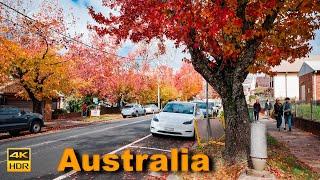 Australia Walking Tour in Autumn - Blackheath | 4K HDR