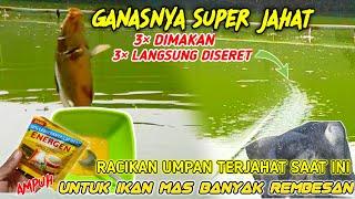 UMPAN IKAN MAS TERJAHAT SAAT INI‼️Untuk Mancing IKAN MAS BANYAK REMBESAN SUSAH MAKAN