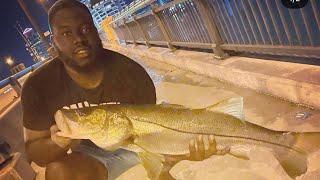 Mullet run 2021 sharkoween nights ( 42in snook)