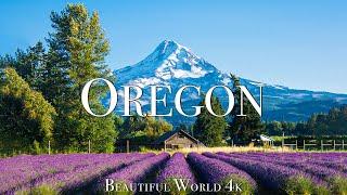 Oregon 4K Beautiful Nature Film - Morning Piano Music - Wonderful Nature