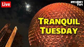 Live: Tranquil Tuesday at Epcot - A Relaxing Evening - 11-5-24 - Walt Disney World