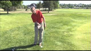 The Swing Guru: Firm up your chips