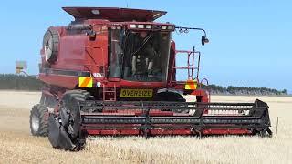 Roger Smith Contracting, Ashburton, Case 2388 Axial Flow Combine Making Short Work Of The Harvest,