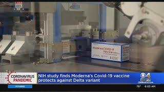 NIH Study Finds Moderna's COVID-19 Vaccine Protects Against Delta Variant