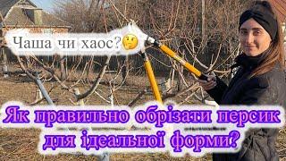 80% садівників роблять це не правильно!Обрізка персика в 1-й і 2-й рік