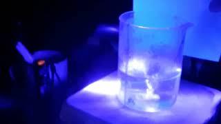 Quantum dots from Citric acid and Urea.