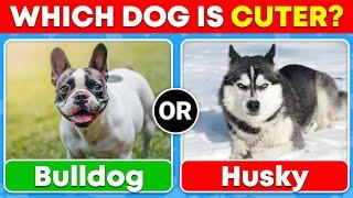 Which Dog Do You Prefer? (Cute Dog Edition)