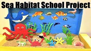 sea habitat model making using cardboard and paper | diorama model making | howtofunda