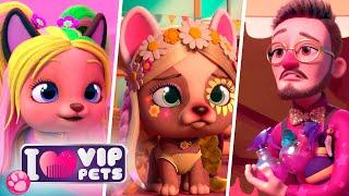  PERFECT EPISODES  VIP PETS  HAIRSTYLES ‍️ Full Episodes  CARTOONS for KIDS in ENGLISH