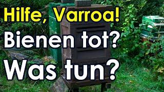 Hilfe Varroa, Bienen tot, was nun? Was tun bei akuter Varroa Gefahr? Ligustica vs. Dunkle Biene?