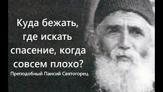 Куда бежать, где искать спасение, когда совсем плохо? Преподобный Паисий Святогорец.