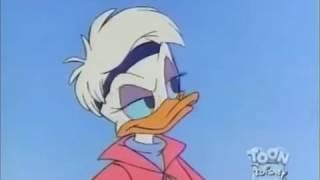 Quck Pack - Daisy Duck Tickled