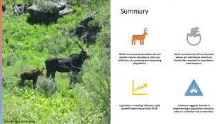 Status of Moose in Nevada- January 26, 2024 Commission Presentation