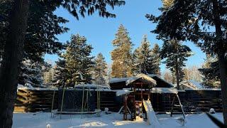 Новогодние каникулы. Гуляем на даче и в городе. Медовик. Новогодние покупки