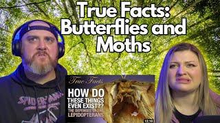 True Facts: The Crazy Defenses of Butterflies and Moths @zefrank | HatGuy & @gnarlynikki React