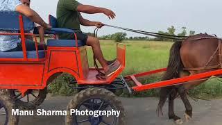 Horse buggy training for out door in India