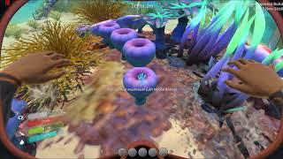 Subnautica on Low End PC