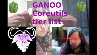 BEST LINUX COMMANDS TIER LIST (GNU Coreutils (losing my sanity))