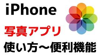 【iPhone】写真アプリの使い方・便利機能をまとめて紹介！画像の加工や編集もできます！