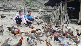 Hong subió a la montaña para visitar la granja de Robert. ¿Accedió a casarse con él?