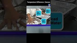 Temperature Difference | Research Methods in Education | VU | Shorts
