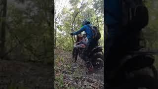 ENDURO REX