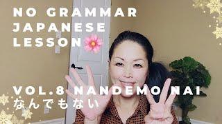 NO GRAMMAR JAPANESE LESSON VOL. 8 NANDEMO NAI, なんでもない