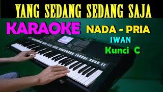 YANG SEDANG SEDANG SAJA - Iwan | KARAOKE Nada Pria, HD