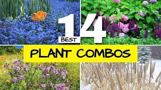 14 plant combinations to try at home (spring, summer, fall & winter plant pairings)