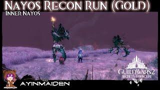 GW2 Nayos Recon Run Adventure (Gold)