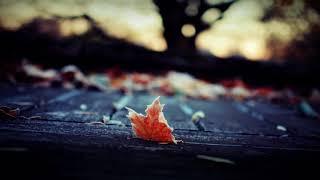 Distant Dream - Falling Leaf