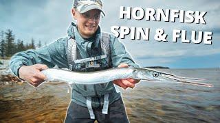 Fishing For Garfish - Loads Of Garfish (Catch & Cook!)