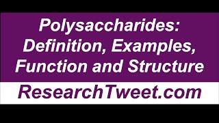 Polysaccharides: Definition, Examples, Function and Structure