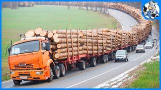 150 Jaw-Dropping Most Dangerous Transport Skills | Timber Transport | Heavy Equipment Fails #2