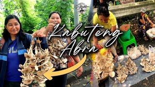 ₱1,000 kada Tuhog? Philippines' Most Expensive Wild Mushroom| Uong Abra | Taga-Cordillera EPISODE 28