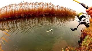 Small stream Pike fishing GoPro HD