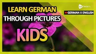 Learn German Through Pictures |German Vocabulary Kids | Golearn