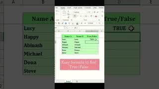 EASY FORMULA TO FIND TRUE FALSE IN EXCEL #excel #excelformulas