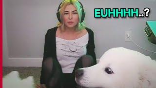  Best Twitch Fails Moments 2020 #44