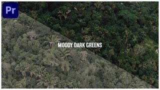 Premiere Pro tutorial  - Color Grade Moody Dark Greens